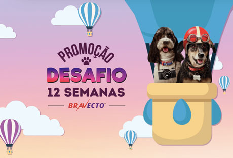 Promoção Bravecto Desafio 12 Semanas