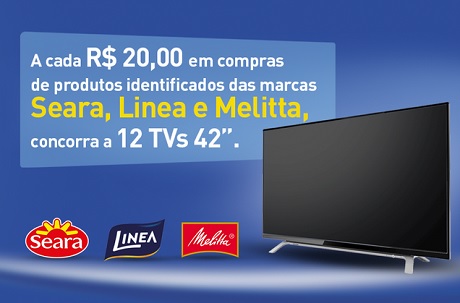 Promoção Condor Seleção Campeã