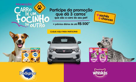 Promoção Pedigree e Whiskas Carro de Um Focinho do Outro
