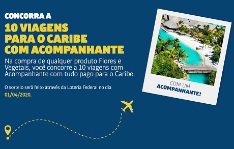 Promoção Flores e Vegetais e Você No Caribe