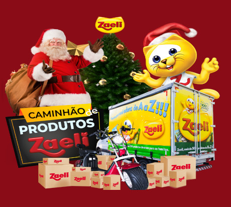 Promoção Zaeli Presente de Natal
